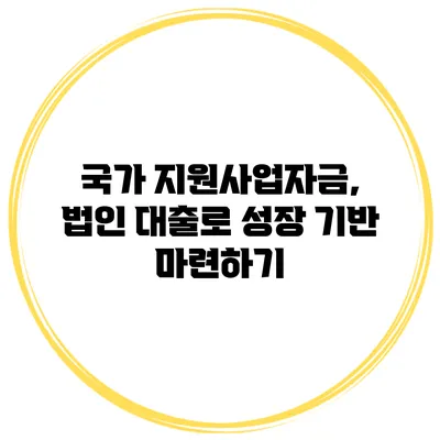 국가 지원사업자금, 법인 대출로 성장 기반 마련하기