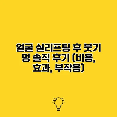 얼굴 실리프팅 후 붓기 멍 솔직 후기 (비용, 효과, 부작용)