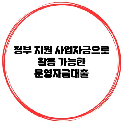 정부 지원 사업자금으로 활용 가능한 운영자금대출