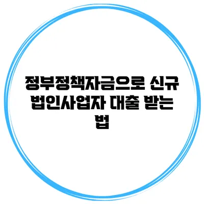 정부정책자금으로 신규 법인사업자 대출 받는 법