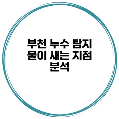 부천 누수 탐지 물이 새는 지점 분석